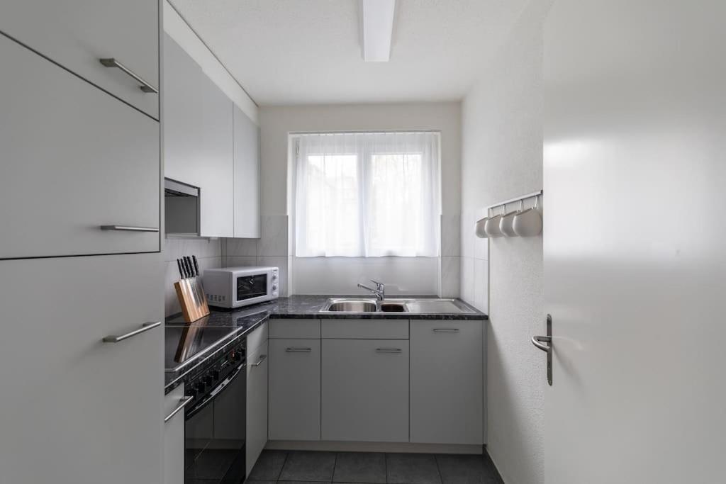 And Big 1 Bedroom Flat Center/near